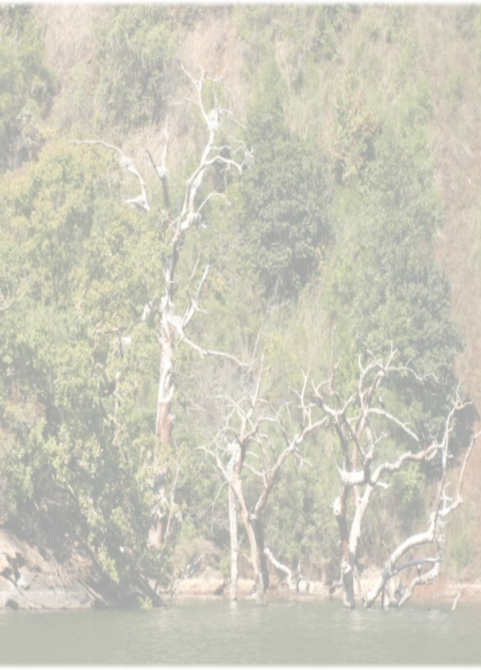 Boat Trips on the Blyde Dam Hoedspruit