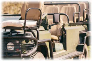 Game Drives on Guernsey Private Nature Reserve near Orpen Gate