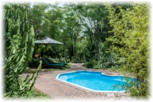 Swimming Pool at Nsele Safaris and Lodge Greater Krugrer Conservancy